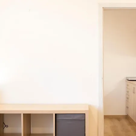 Apartment Utulny Na Ulici Premyslovcu *